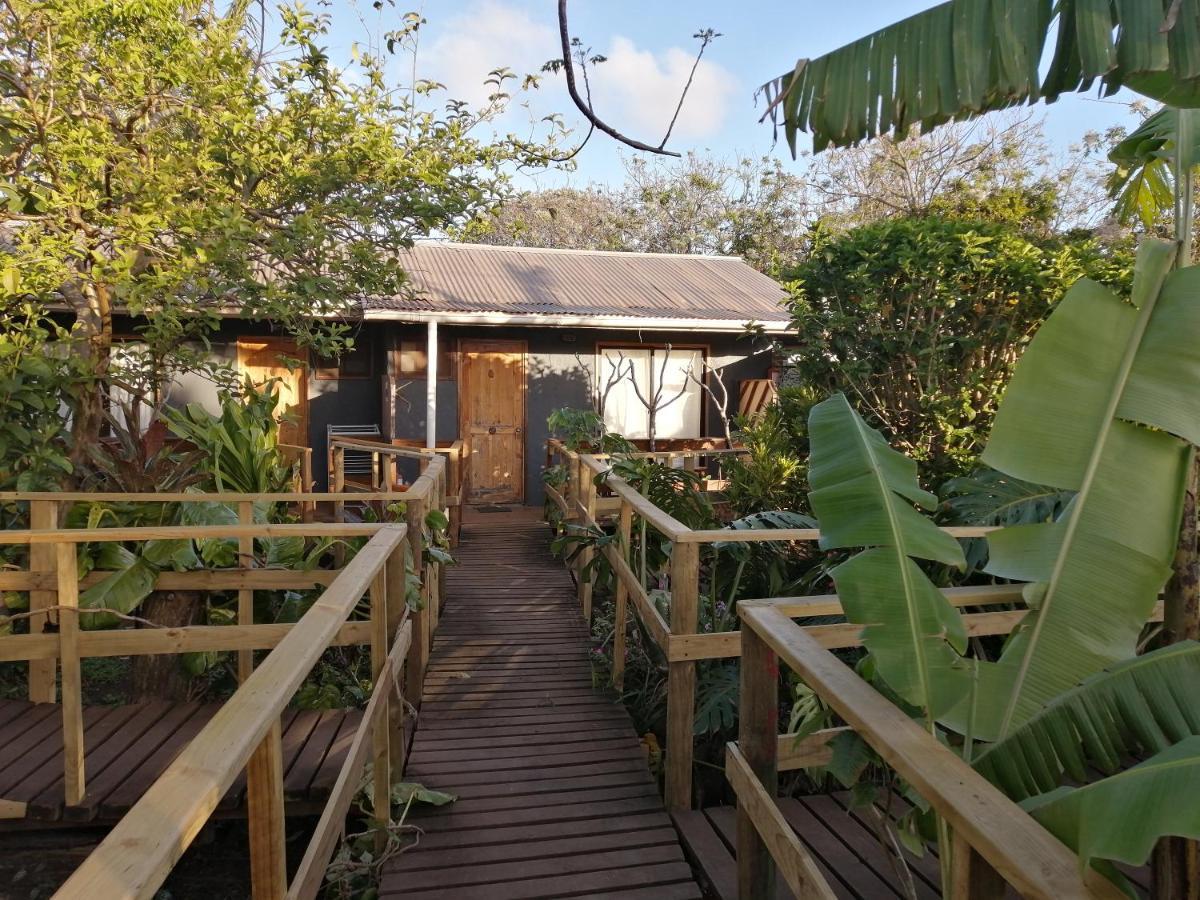 Tuava Lodge Hanga Roa Esterno foto
